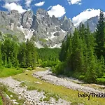 레지나 3*