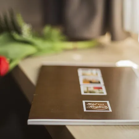Hotel Regina 3*